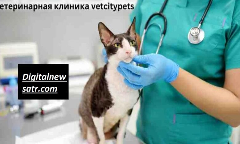 ветеринарная клиника vetcitypets