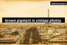 brown pigment in vintage photos