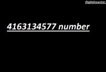 4163134577 number