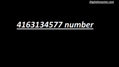 4163134577 number