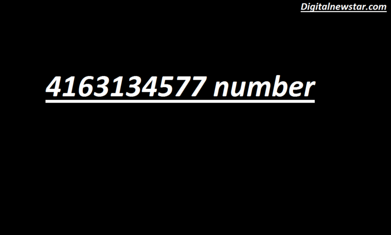 4163134577 number